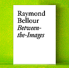 Raymond Bellour - Between-the-Images