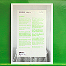 Fillip #13